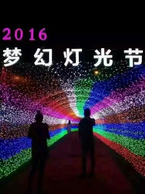 光影賦能，點亮景區(qū)新視界 探訪大型燈光藝術產品的制作、租售與景觀藝術融合